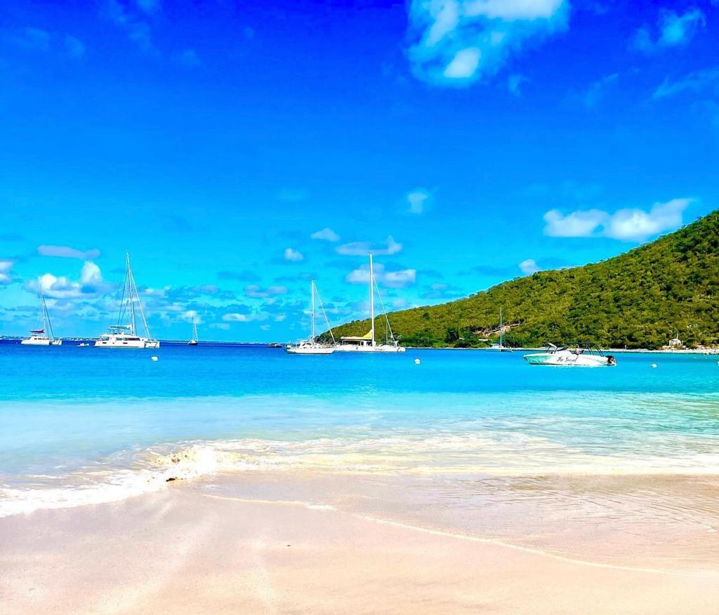 Anse Marcel est une superbe plage située sur l'île caribéenne de Saint-Martin, offrant un cadre pittoresque que vous devez visiter lors de votre séjour à The Hills Residence Vacation Rentals. Plongez dans la beauté de la plage d'Anse Marcel tout en profitant d'un hébergement de luxe à The Hills Residence pour une expérience de vacances vraiment inoubliable à Sint Maarten.