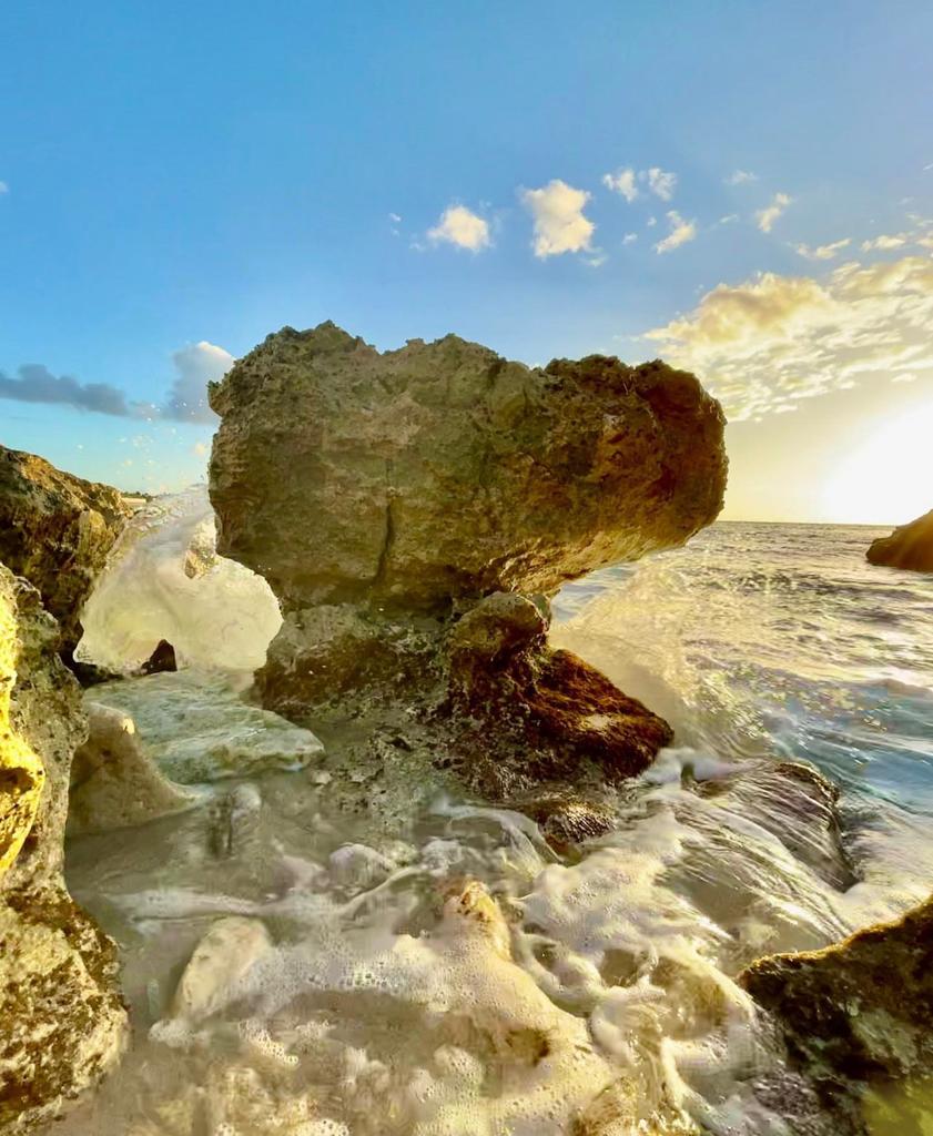 Plum Bay Beach, située à Terres Basses, Saint-Martin, offre aux visiteurs une expérience sécurisée et relaxante avec son beau sable blanc, ses superbes possibilités de baignade et de plongée en apnée. Pendant ce temps, les locations de vacances Hills à Sint Maarten proposent des hébergements luxueux avec une vue imprenable sur les collines de l'île, créant un refuge enchanteur pour les voyageurs en quête de tranquillité et de beauté naturelle.