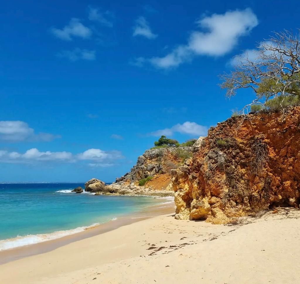 L'île Tintamarre, située près de Saint-Martin, est un paradis tropical désert qui offre aux visiteurs l'expérience unique de profiter d'une plage azur et turquoise dans un décor digne de Robinson Crusoé. Avec sa beauté naturelle époustouflante et son manque d’installations, il offre une évasion sereine et isolée de la foule. D'autre part, les locations de vacances Hills à Sint Maarten proposent des hébergements luxueux avec une vue imprenable sur les collines de l'île, offrant aux voyageurs une retraite paisible et rajeunissante au milieu de la beauté de la nature.