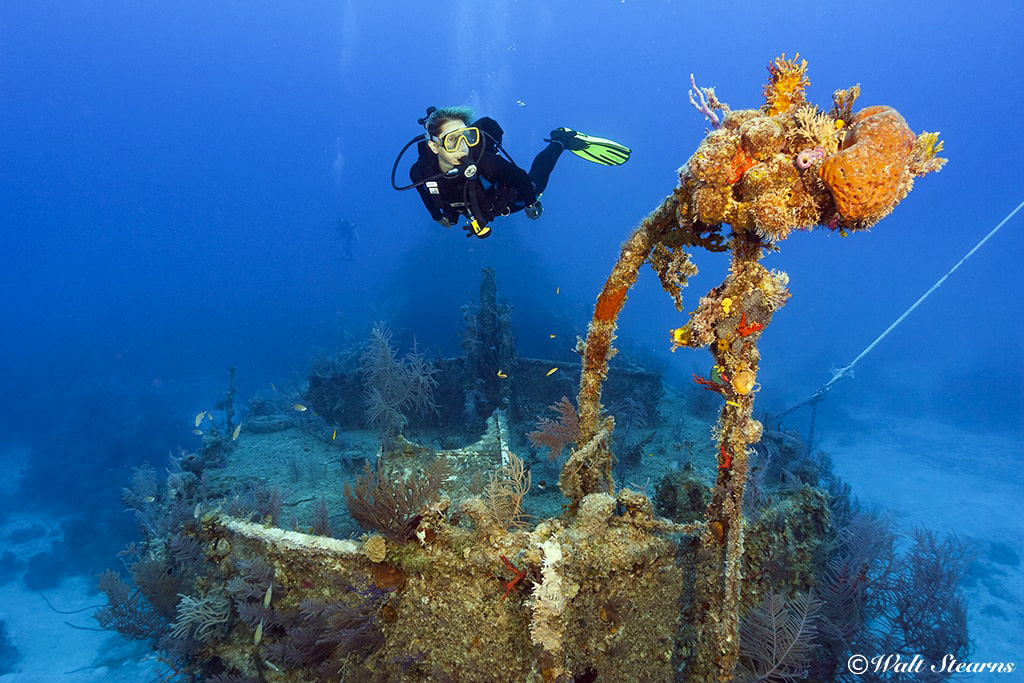The best diving spots in Sin Marteen